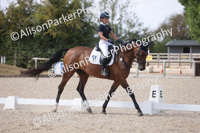 20260815-1113 - Class 6 - Novice 2