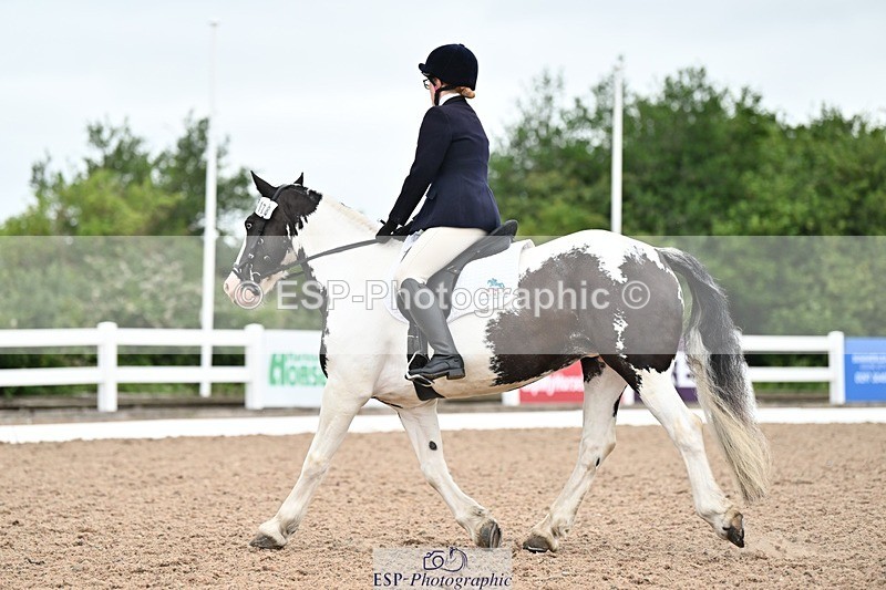 250705-094634-00761 - Intro1 Sections BDI1SEN, BD I1JNR 09.00 to 09.48