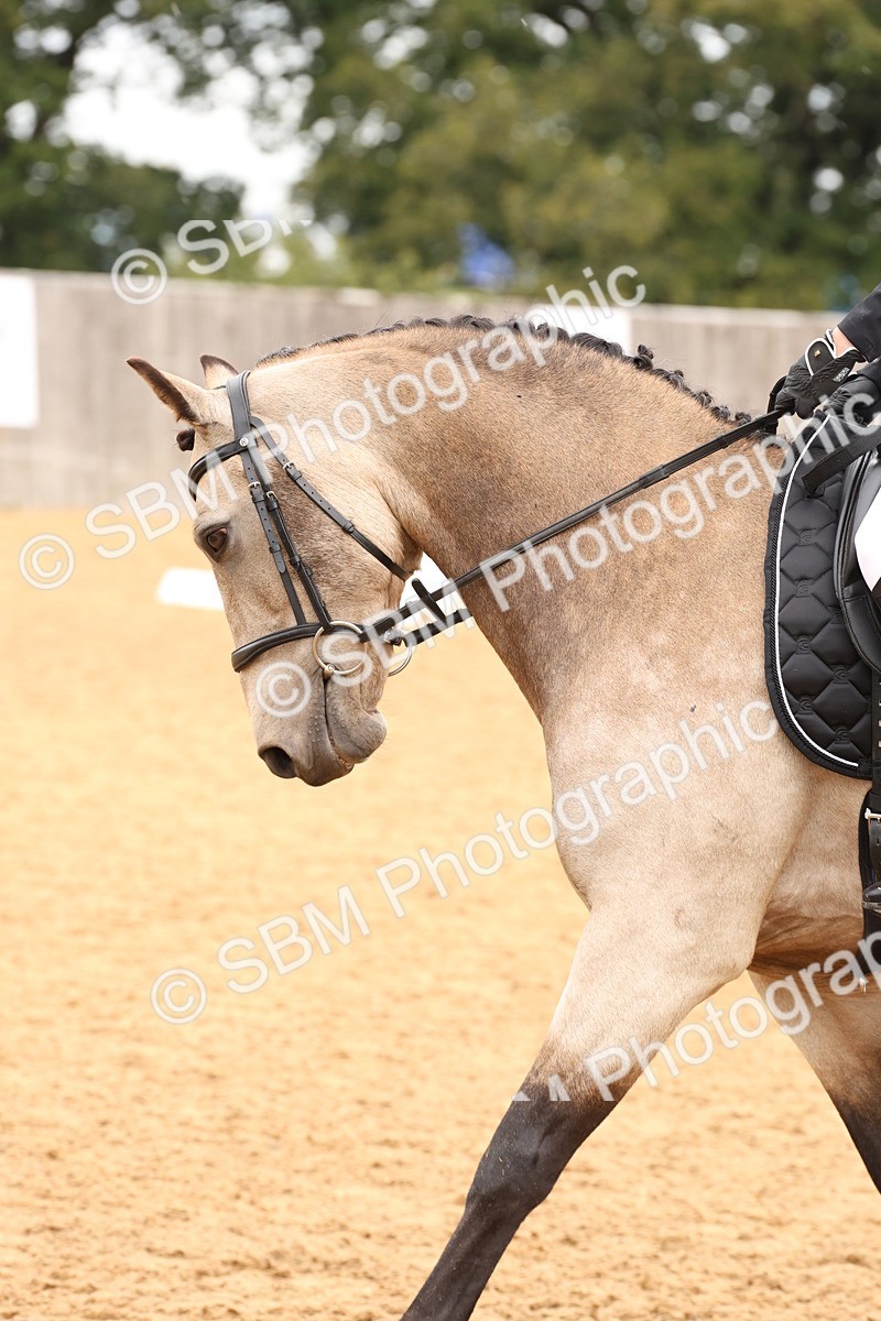 SBM_44016 - D6 - Small Tour Championship Intro 4