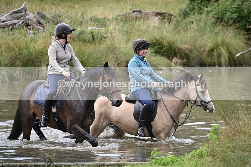 WJ7_4095 - Time at Water 12:52 to 13:22