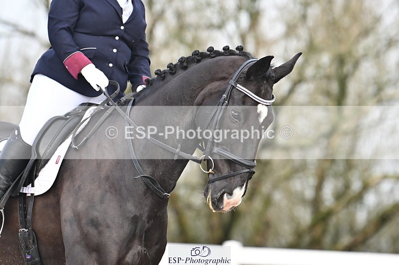 240218A-095148-04876 - 183-Clare.Deithrick-SP.Dramatic