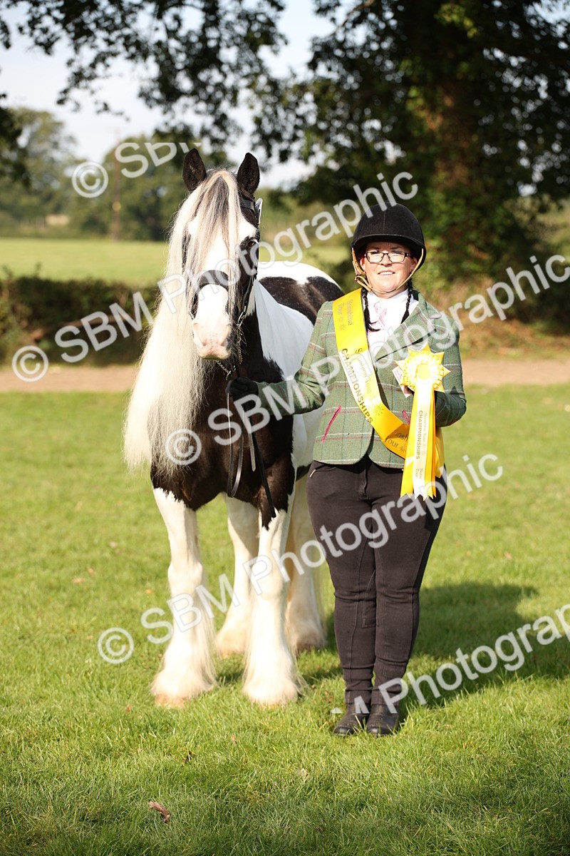 SBM_61216 - S54 - Show Cob In Hand