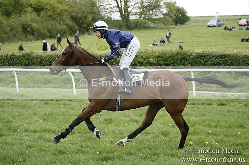 PtP 170417 507 - Old Berks Point-to-Point Lockinge 17/04/17