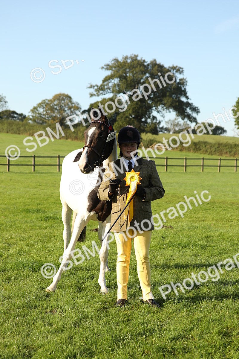 SBM_57994 - S42 - Youngstock