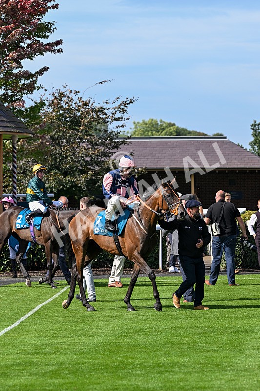 060926-Race 3-Moon Chime-7680 - Race 3 2.40pm Hanson Springs Stayers Handicap