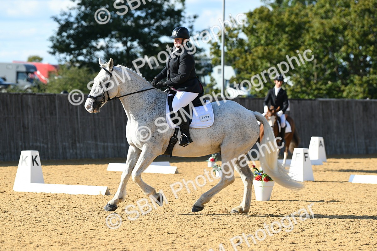 SBM_27278 - D16 - Small Tour Championship - Novice 28