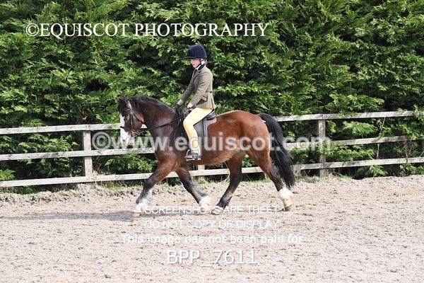 BPP_7611 - RING 1  (RIDDEN HORSES / IN HAND / VETERAN ETC)