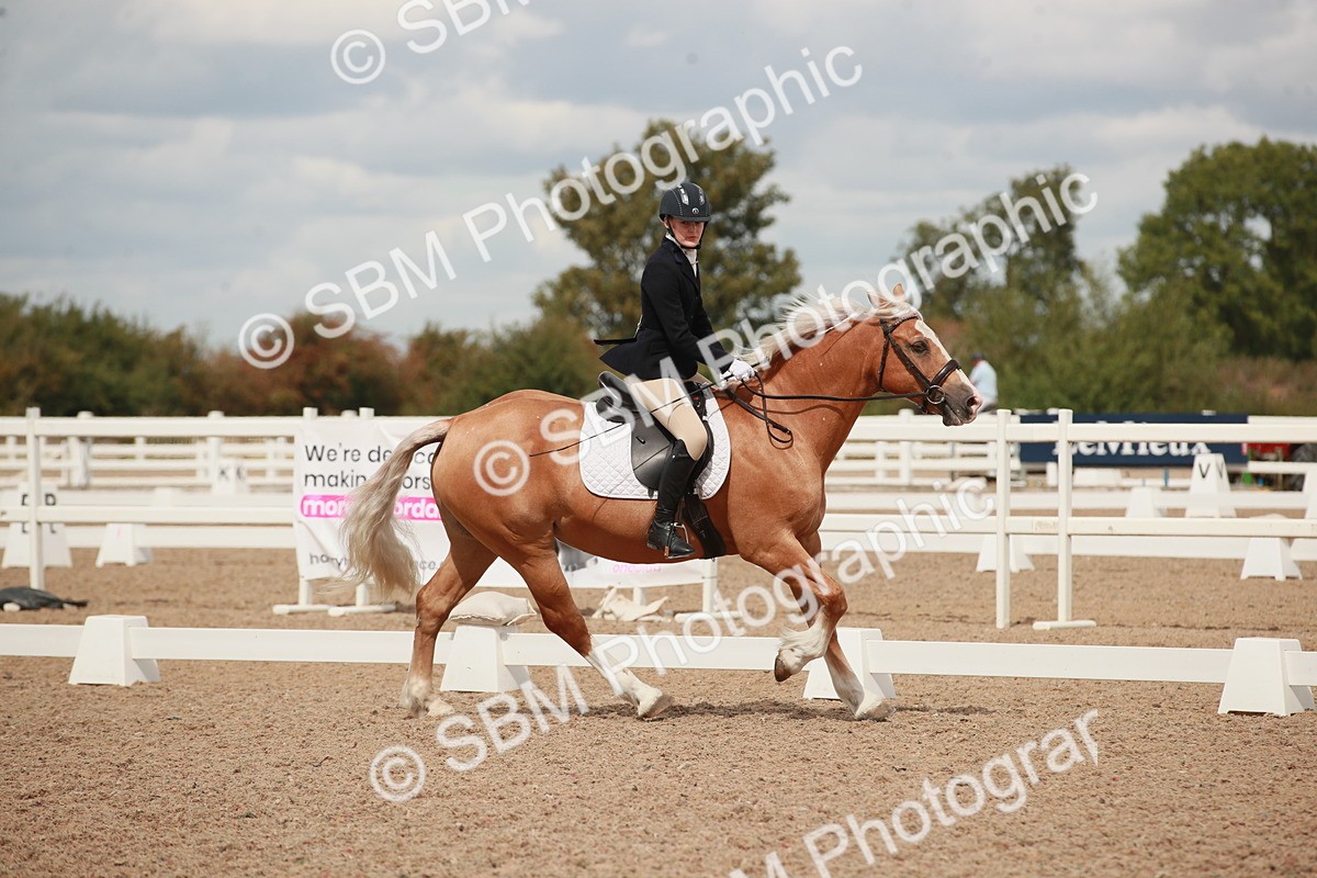 SBM_05889 - Class 32 - Novice 1