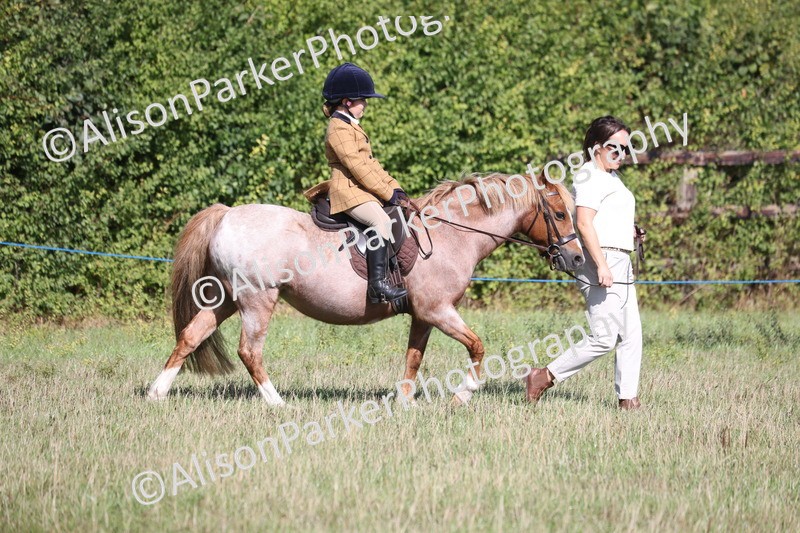 20260906-2139 - Class 16 - Family Pony