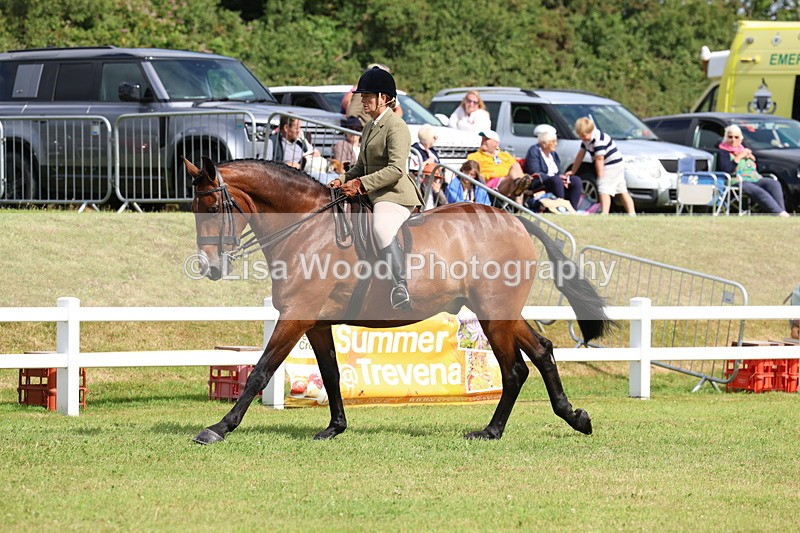 3E7A9345 - Class 4: Rising Star M/H Hunter