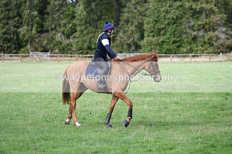 WJ7_9612 - Time 13:13 to 13:55