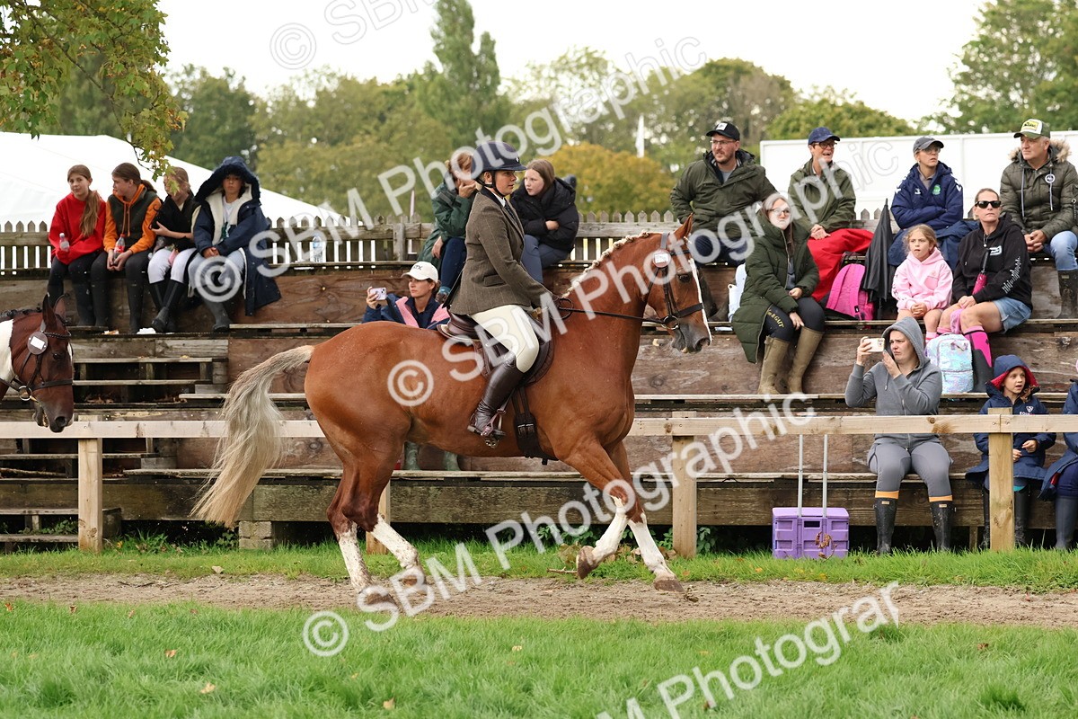 SBM_44988 - S27 - Young Veteran Ridden