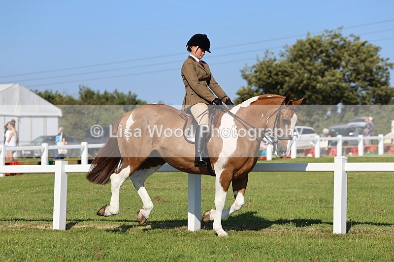 IMG_1423 - Class 29:  Ridden Native/Trad Coloured Horse