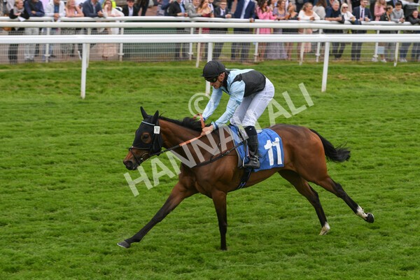 yr22052022r1-21 - Race 1: 3:30pm Sky Bet Sunday Series Apprentice Stakes