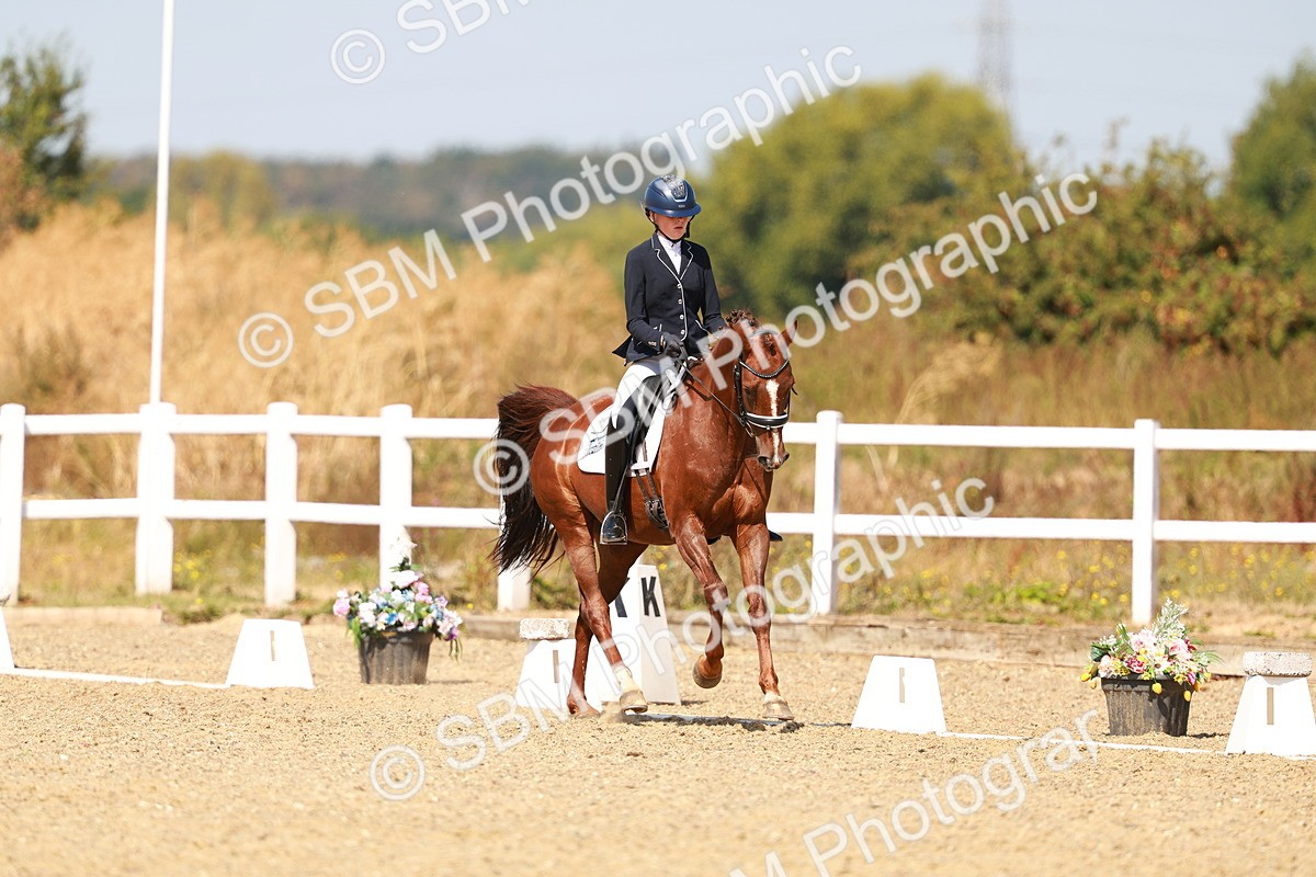 SBM_018312 - Class 9 - N5 Bronze 11.57.13.07