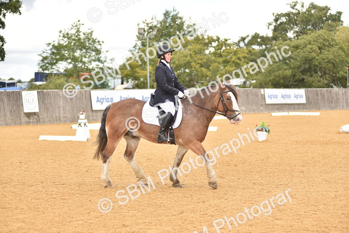SBM_19880 - D4 - Small Tour Championship Intro 4