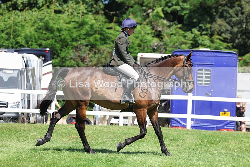 3E7A8948 - Class 6: Open Working Horse