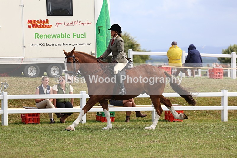 3E7A0212 - Class 6: Rising Star Maxi Cobs