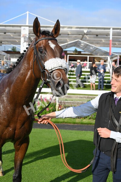 yr23072021r1-48 - Race 1 6.00pm John Wright Electrical Silk Series Lady Riders Handicap