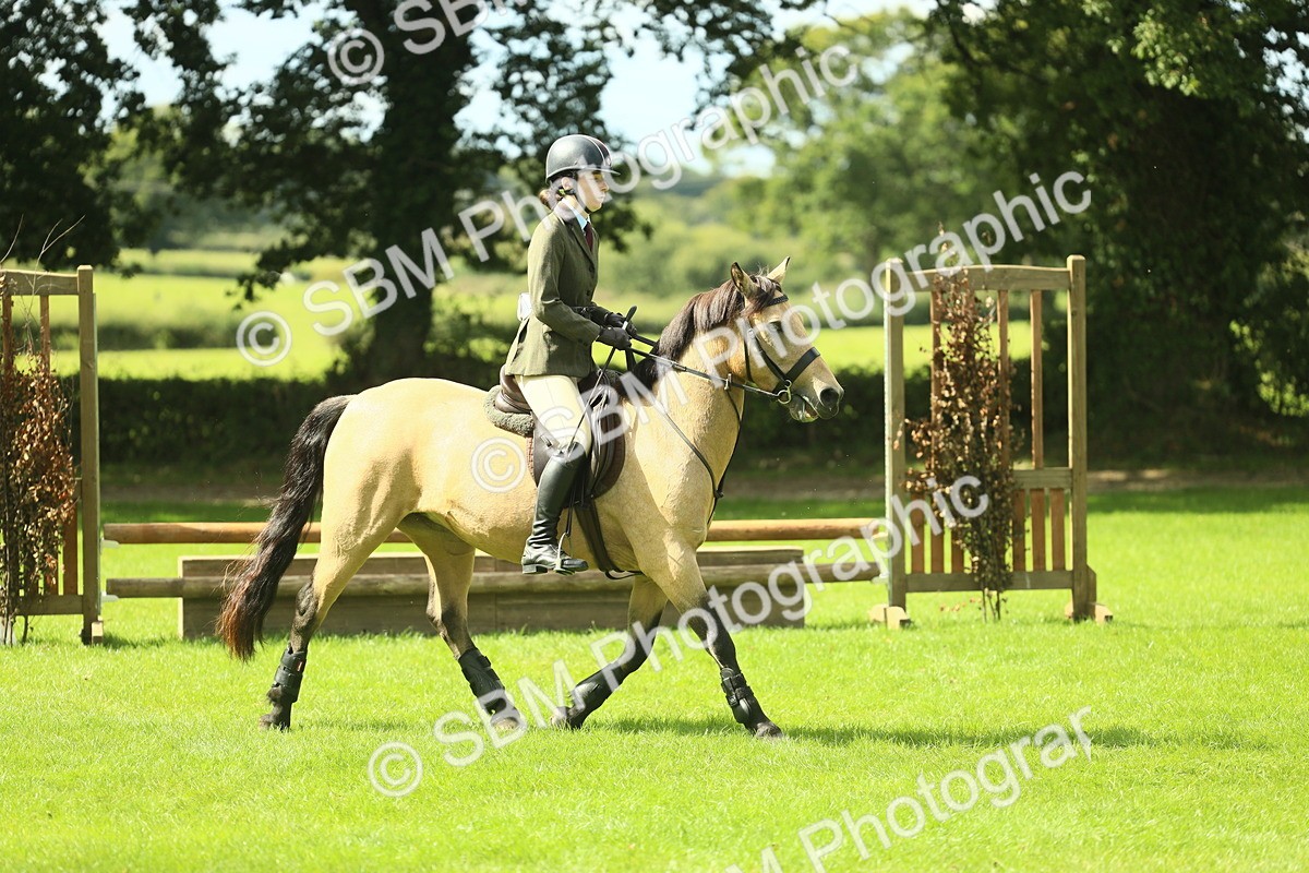 SBM_42845 - S30 - M&M Working hunter Pony