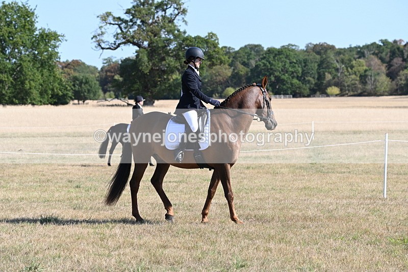 WJ6_7201 - Class 33 Rescue Pony