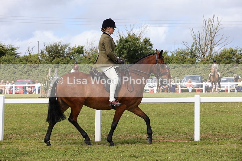 1X9A3954 - Class 32: Show Hunter Pony 153cm and under