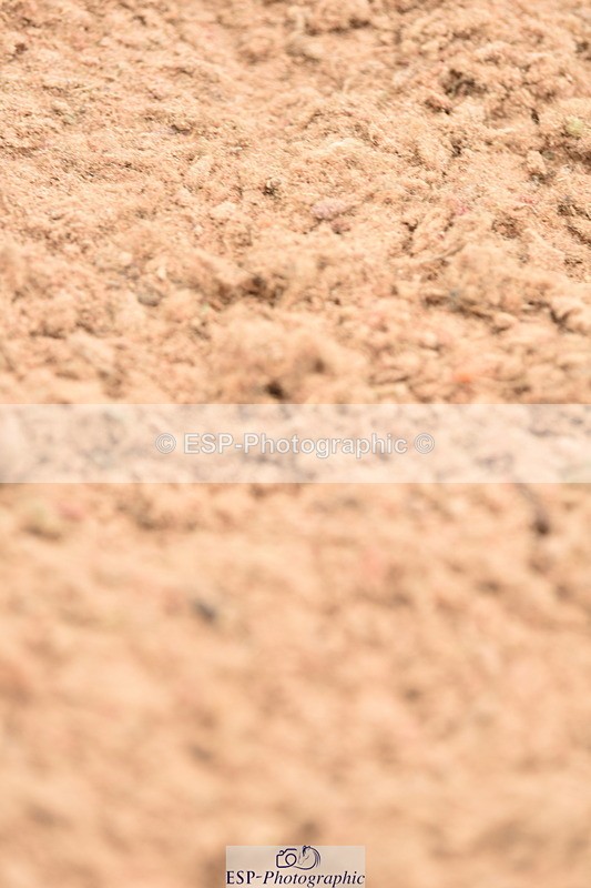 230507A-141608-08363 - Cls 48 Foxhunter