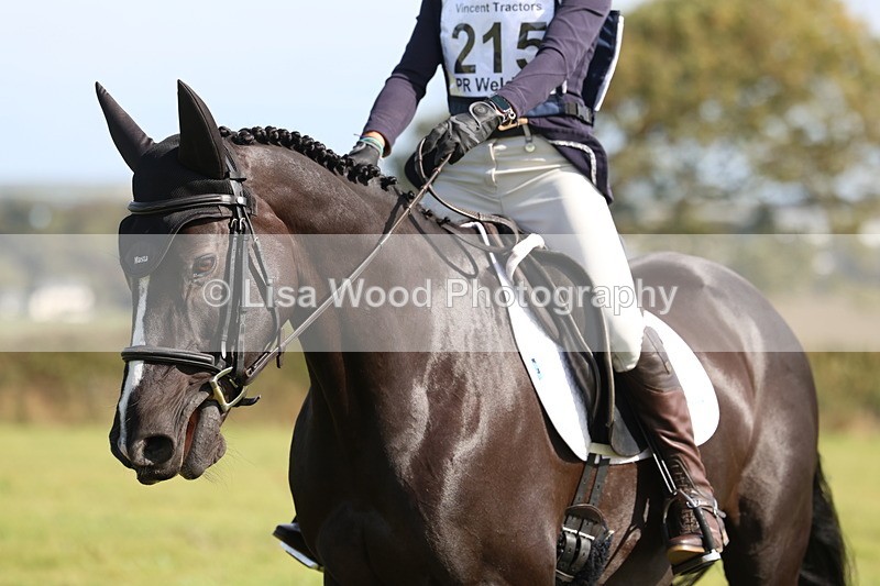 3E7A6382 - Class 2A: Trekenning Open: Dressage