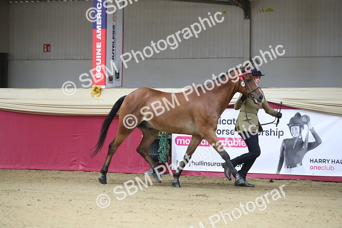 SBM_00208
