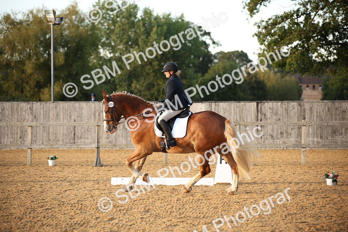 SBM_31533 - D11 - Small Tour Championship - Prelim 13