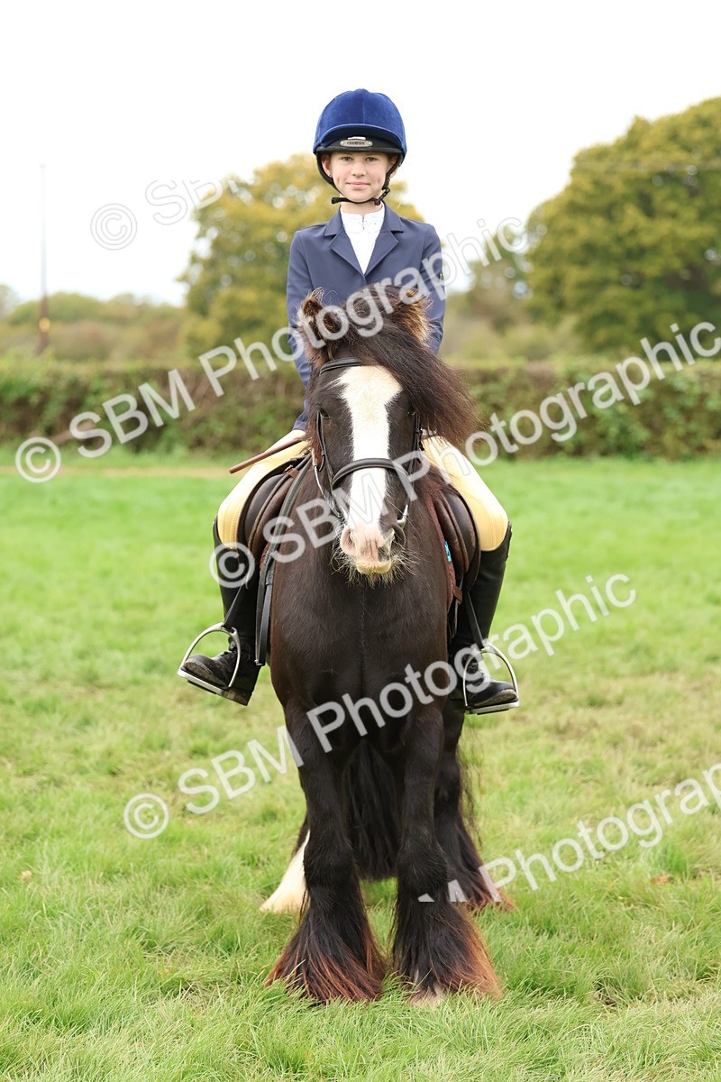 SBM_67534 - S60 - Mini Show Cob Ridden
