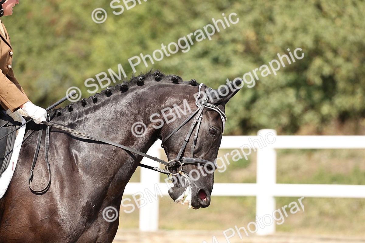 SBM_018686 - Class 16 - Novice 5 - 12.08-13.11