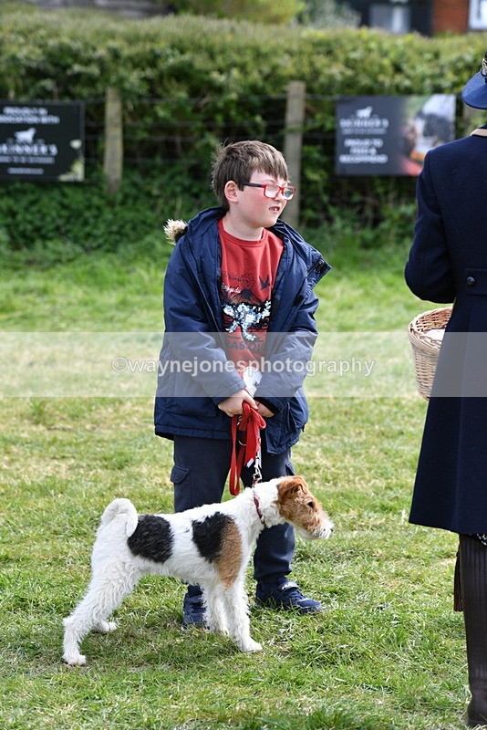 WJ5_0623 - Class 7 Best Terrier