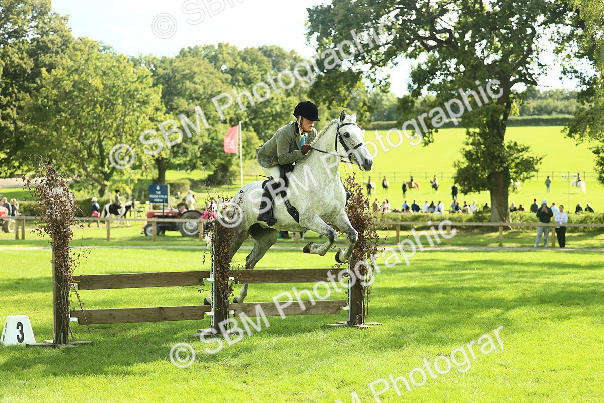 SBM_48070 - S32 - Novice & Newcomers Working Hunter