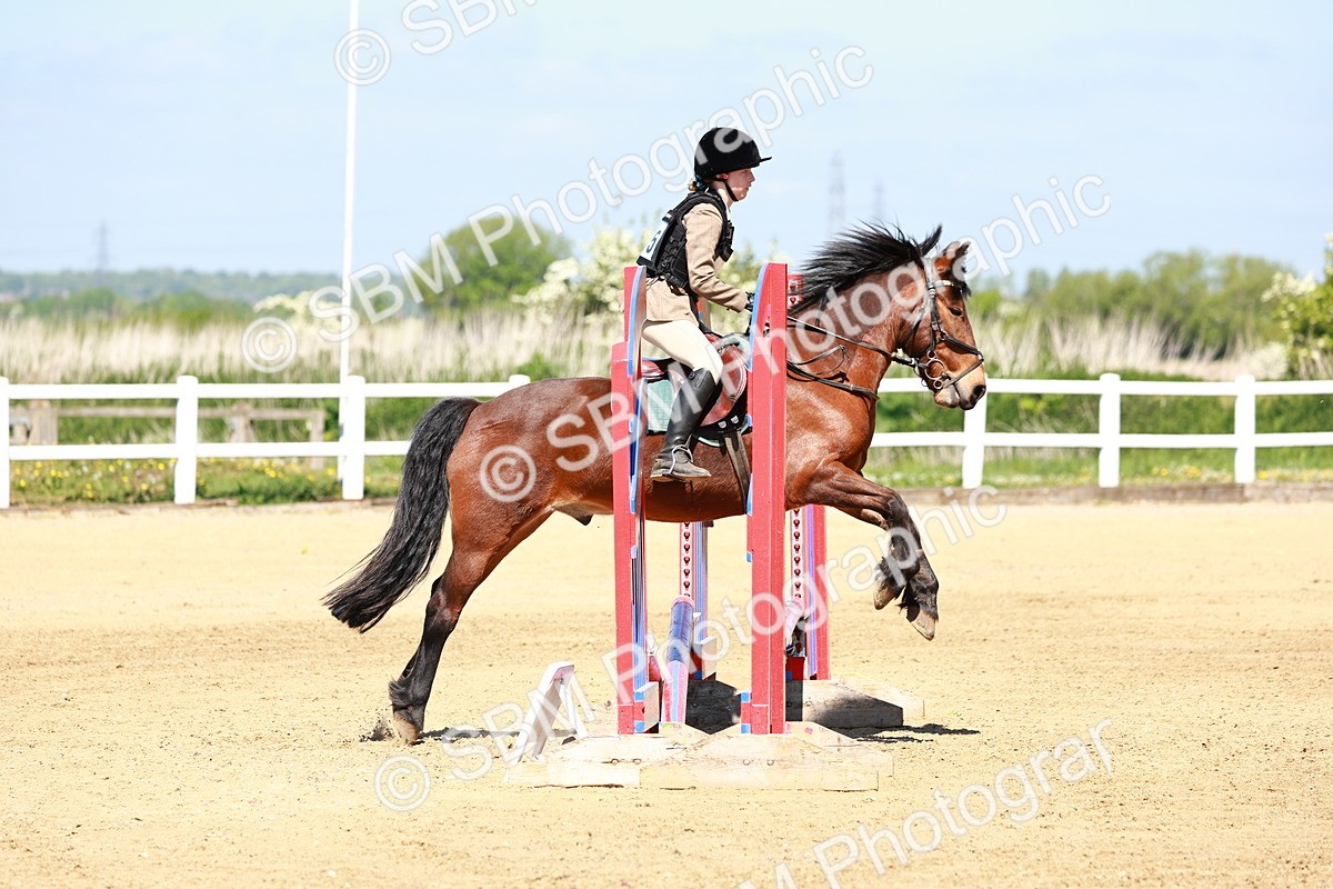 SBM_007097 - Class 3 - 60cm