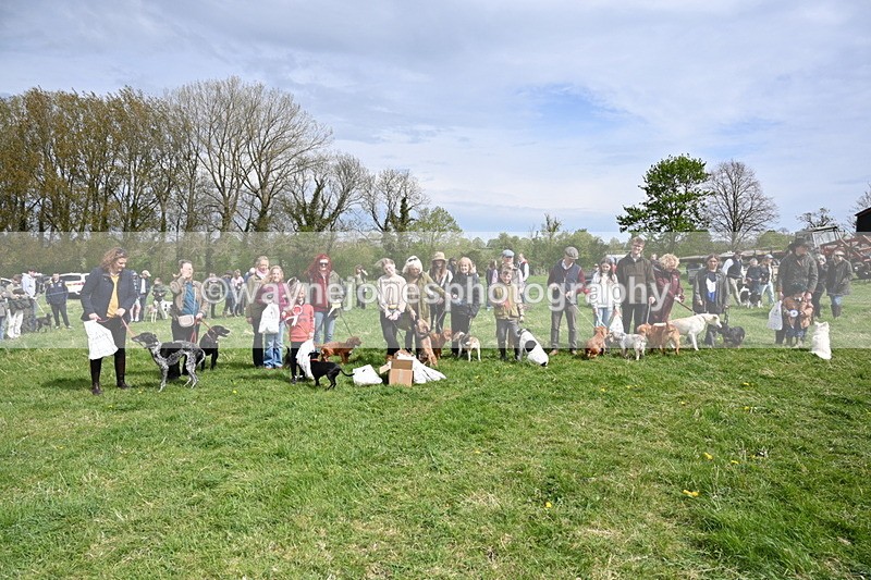 WJ6_8396 - Class 4 Prettiest Bitch