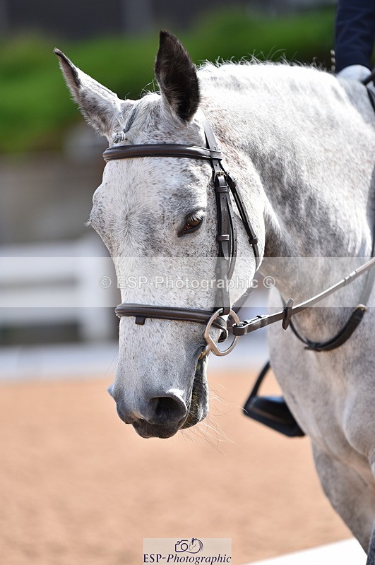 230511A-095706-00154 - BD Cls 2 Prelim 17A