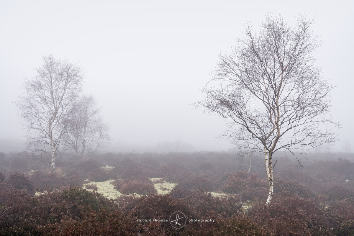Frensham March - Frensham