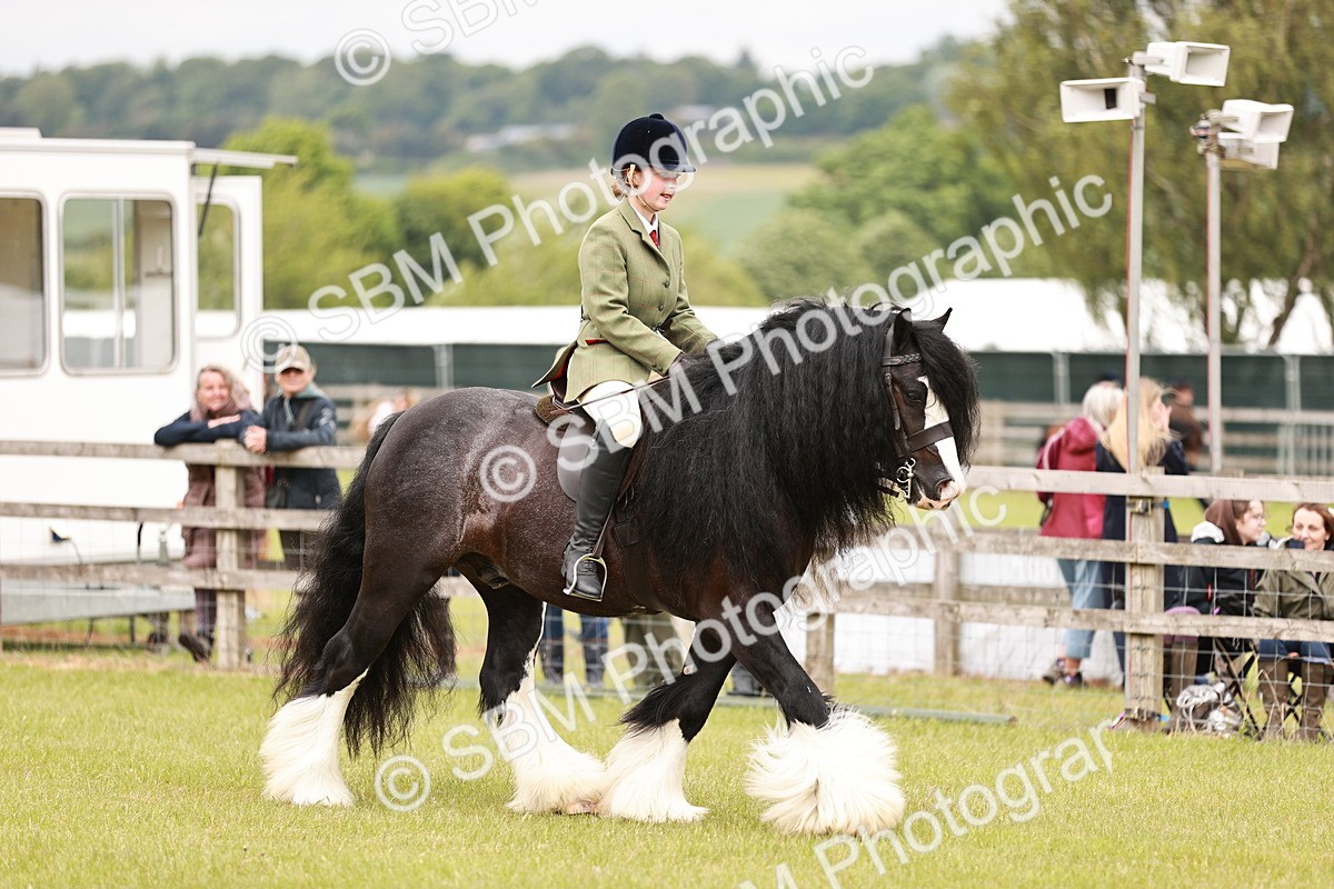 SBM_06219 - Class 39-41 TGCA In Hand and Ridden