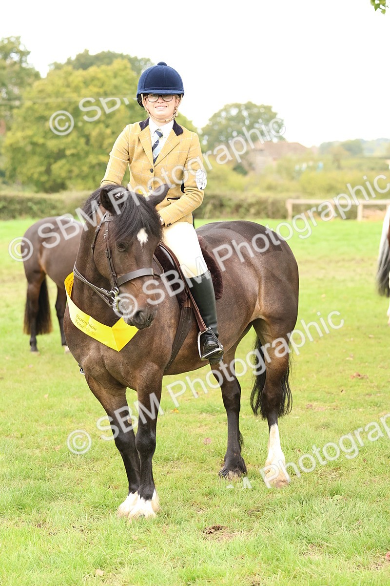 SBM_59998 - S36 - Rehabiliated Rescue Horse & Pony In Hand & Ridden