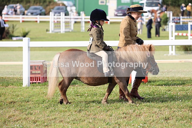 JPP_0158 - Class 14: Cornish Combination Leading Rein