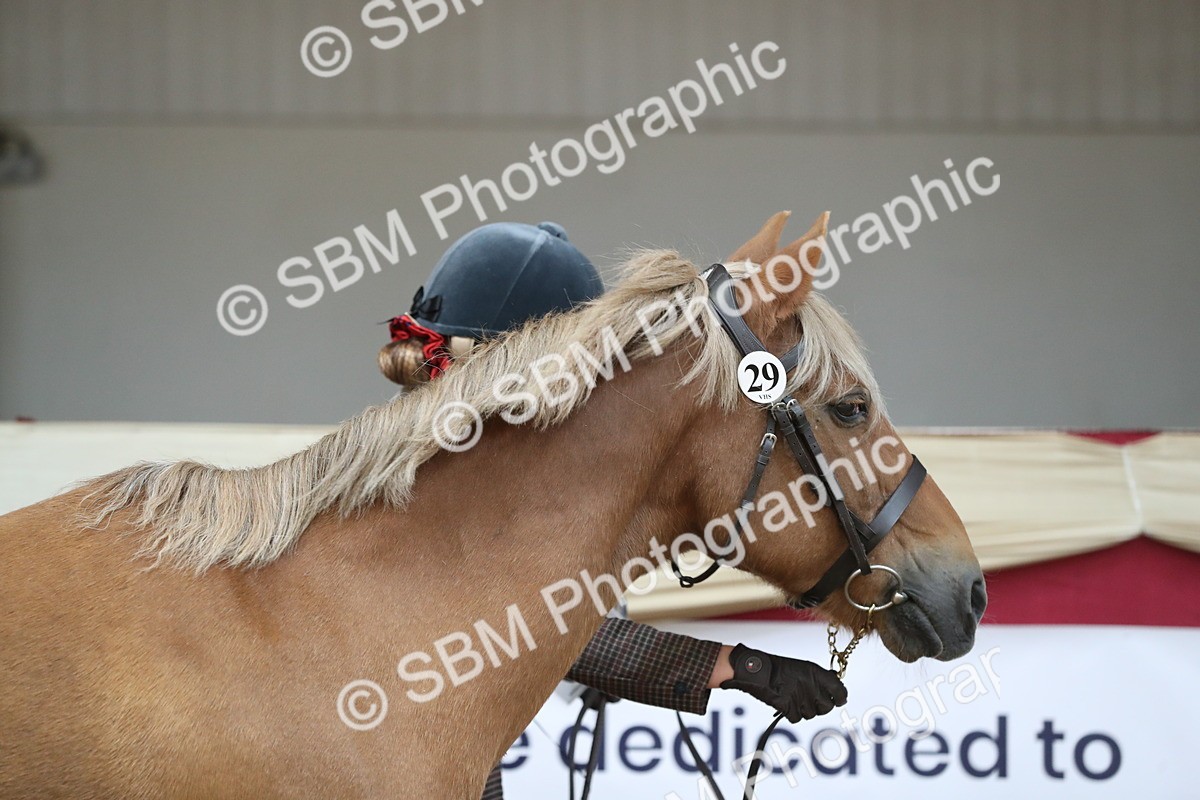 SBM_04290 - Class 7R Regional - IH Diamond