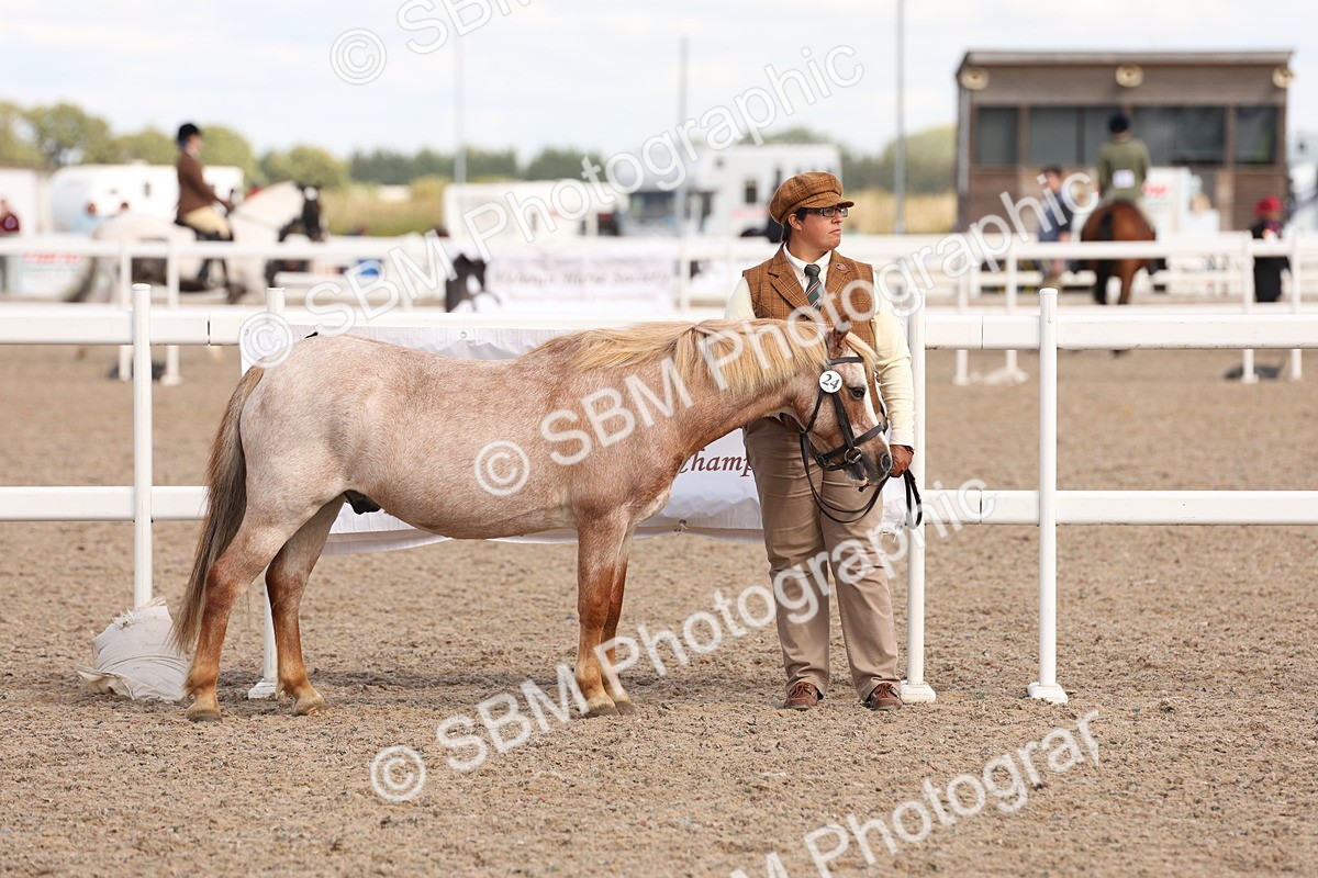 SBM_15029 - Class 209 - IH Veteran Pony