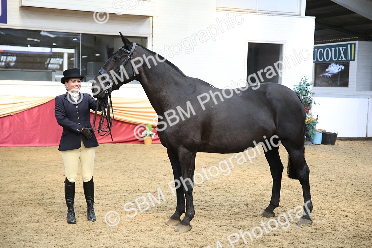 SBM_24246 - Class 905 - Supreme Final - Ridden Veteran