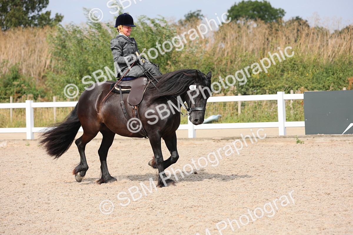 SBM_14649 - Class 211 Best Side Saddle Horse/Pony