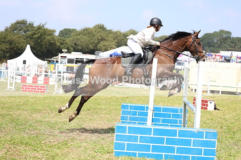 3E7A2848 - Class 7: Senior British Novice/90cm open