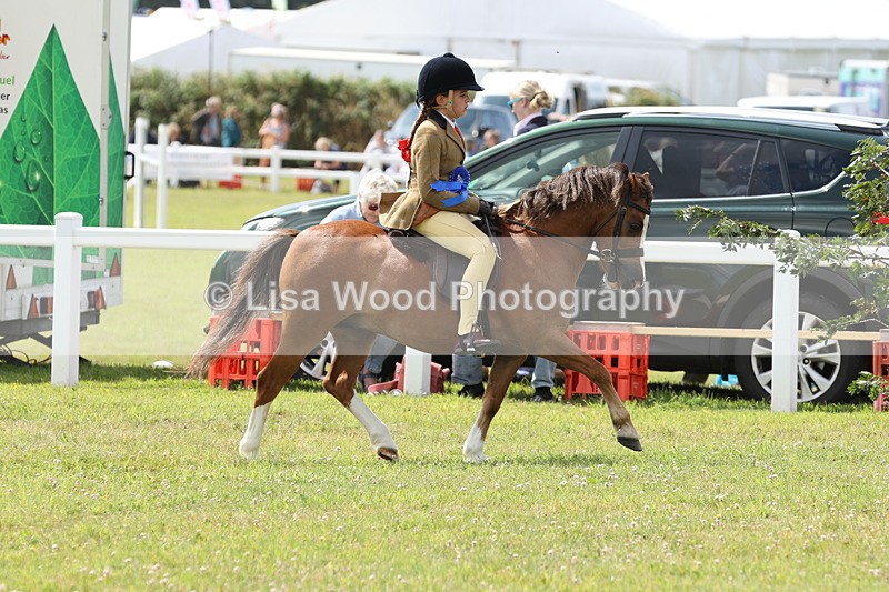 JPP_1629 - Cornish Combination Championship