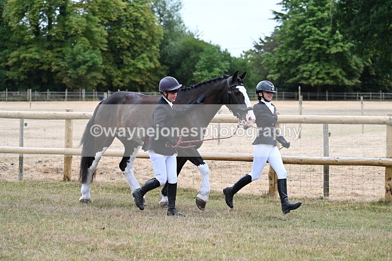 WJ7_8930 - Class 4a Prettiest Mare 14.2hh and over