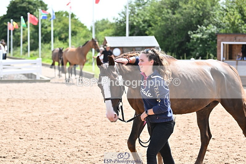 240717A-151441-02676 - Trot Up 3pm to 4pm