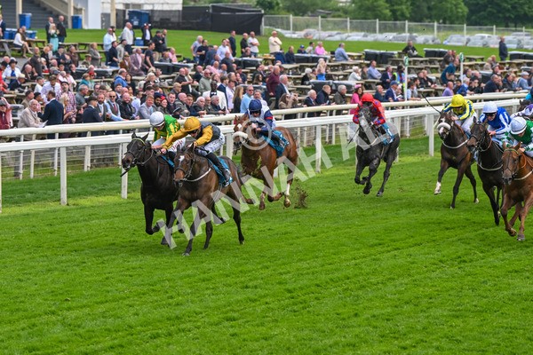 150524-Race 6-Shadow Army-4555 - Race 6 4.45pm British Stallion Studs EBF Novice Stakes